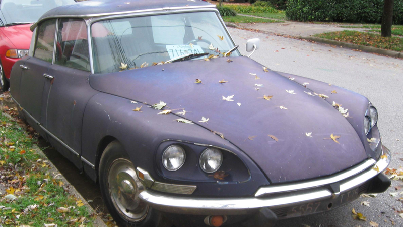 Illustration for article titled French Cars Might Work In The U.S. Now, If They Ever Make A Return